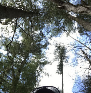 Meet your Posher, Caleb